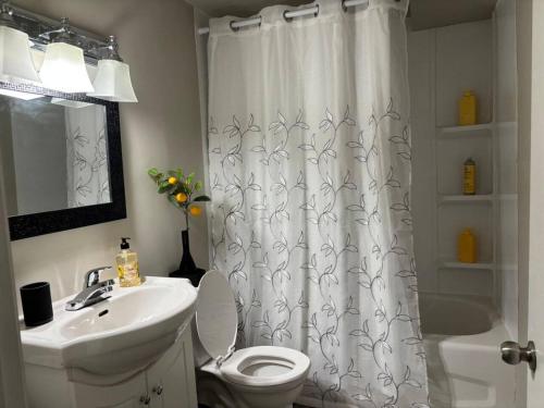 a bathroom with a shower curtain and a toilet and a sink at Eastpoint Cozy Apartment in St. John's