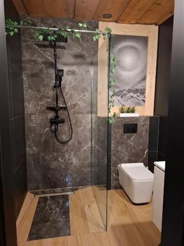 a bathroom with a shower and a toilet at Śleboda Home&Spa in Gliczarów Górny