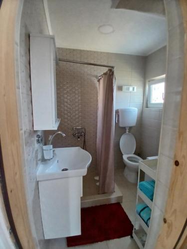 a bathroom with a sink and a toilet and a shower at Vukota - Kuca za odmor in Plav