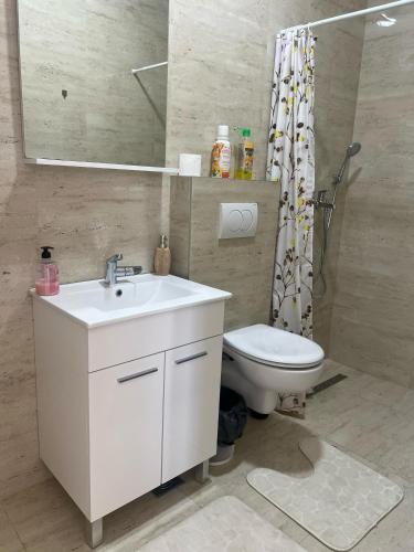 a bathroom with a white sink and a toilet at Studio Apartment Vukcevic 3 in Golubovci