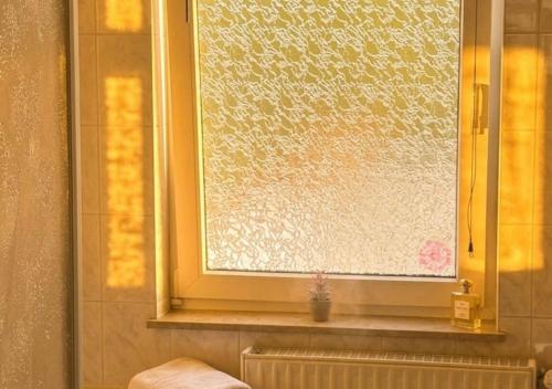 a window in a bathroom with a potted plant at Residenz Halberstädter Domschatz beliebt bei Monteuren Einzelbetten WlAN in Halberstadt