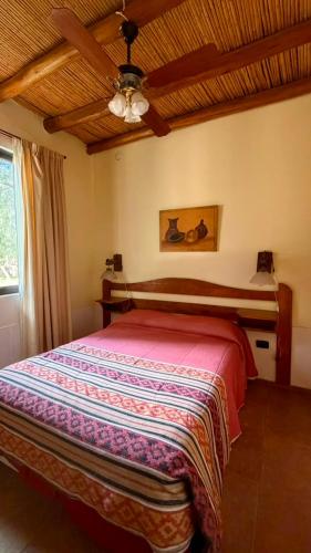a bedroom with a large bed with a ceiling at Complejo Don Antonio in San Agustín de Valle Fértil