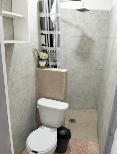 a small bathroom with a toilet and a shower at departamento bugambilias in Tepic