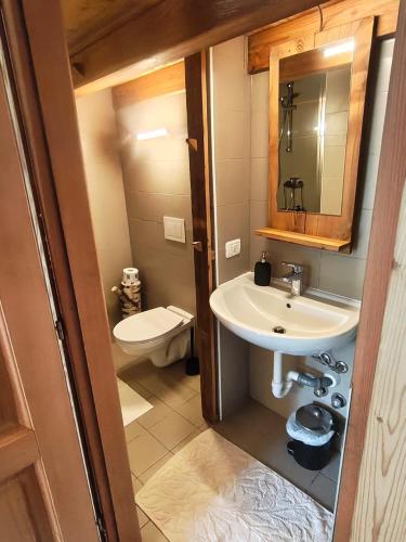 a bathroom with a sink and a toilet at Rifugio in Voga in Gordona