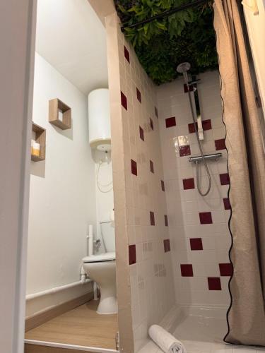 a bathroom with a shower with a toilet and a tub at Le havre des embruns in Saint-Xandre