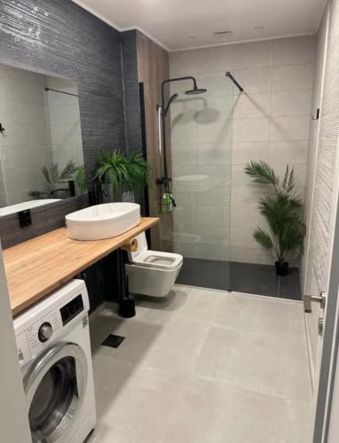 a bathroom with a sink and a washing machine at Saturn Cozy Stay in Mangalia