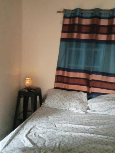 a bedroom with a bed with a curtain and a table at anthurium cabin in Trafalgar