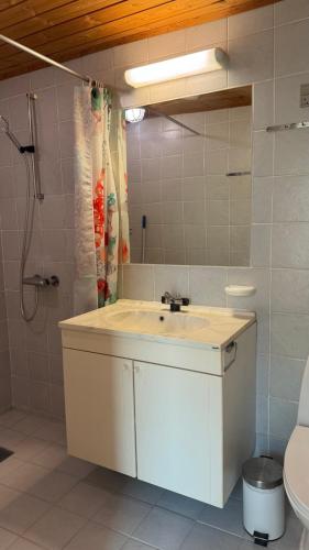 a bathroom with a sink and a shower and a toilet at Holiday Apartment Rudkøbing in Rudkøbing