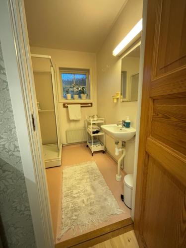a bathroom with a sink and a toilet and a mirror at Hannas hus in Karlskrona