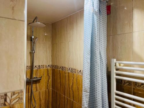 a shower with a blue shower curtain in a bathroom at Cosy Paris CDG Stade de France in Le Blanc-Mesnil