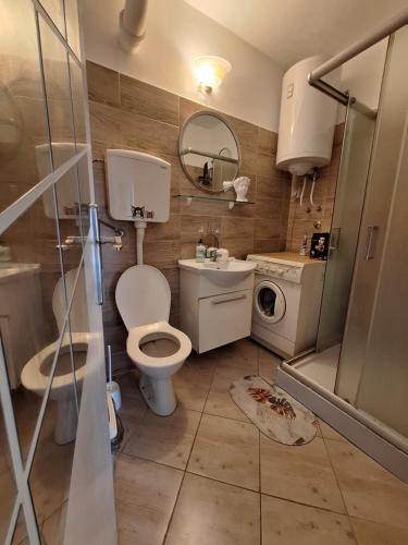 a bathroom with a toilet and a sink and a washing machine at Apartman Dejanović 2 in Veliko Gradište