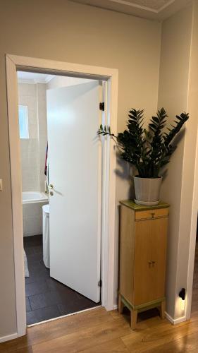 a bathroom with a white door and a potted plant at Keflavik Heart in Keflavík