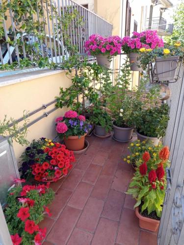 a bunch of flowers in pots on a patio at Dimora Visconti in San Demetrio neʼ Vestini