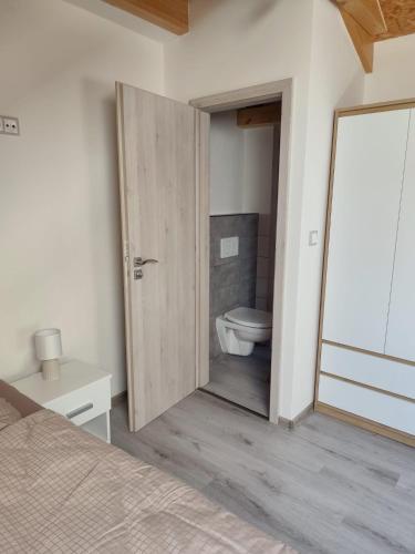 a bathroom with a door leading to a toilet at Apartmán na Břehách in Veselí nad Moravou