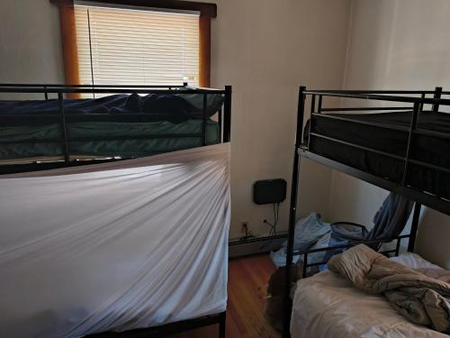 two bunk beds in a room with a window at Briugu's Bunkhouse in Denver