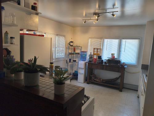 a kitchen with a refrigerator and a table with plants at Briugu's Bunkhouse in Denver