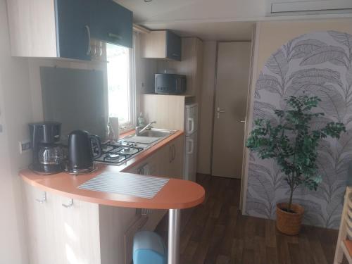 a kitchen with a table and a plant in it at Mobil home YANN in Sainte-Croix-de-Verdon