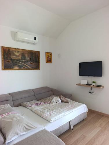 a living room with a couch and a flat screen tv at Vila Lana in Trebinje