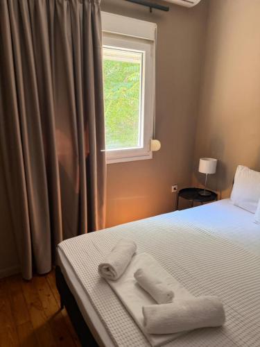 Cozy Apartment Agias sofias