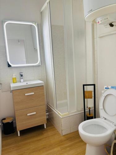 a bathroom with a shower and a toilet and a sink at Le cocon Panoramique in Tours
