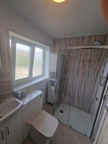 a bathroom with a shower and a toilet and a sink at wyvis stays in Inverness