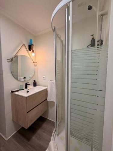 a bathroom with a sink and a shower at El Jardín de Mer in Miengo