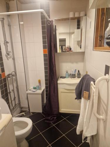 a bathroom with a shower and a toilet and a sink at Cosig house in Nygård