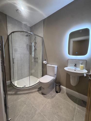 a bathroom with a shower and a toilet and a sink at Studio 4 in Portadown
