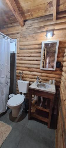 a bathroom with a toilet and a sink and a mirror at Cabaña A&A in Sierra de la Ventana
