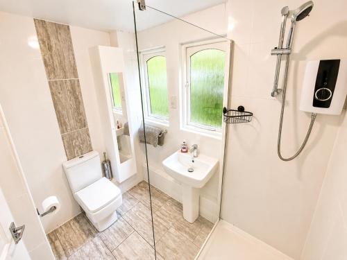 a bathroom with a shower and a toilet and a sink at 47 Trevithick Court in Hayle