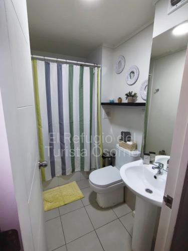 a bathroom with a shower and a toilet and a sink at Departamento El refugio in Osorno