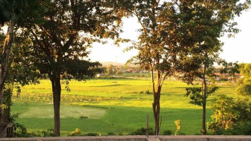 a view of a green field with trees at Pagoda Sight Residence in Nan
