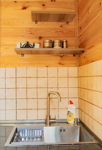 a kitchen with a sink and a shelf with pots and pans at Kazbegi 4 side cottages in Kazbegi