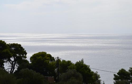 a view of the ocean with trees in the foreground at Dimitra's Apartment in Votsi