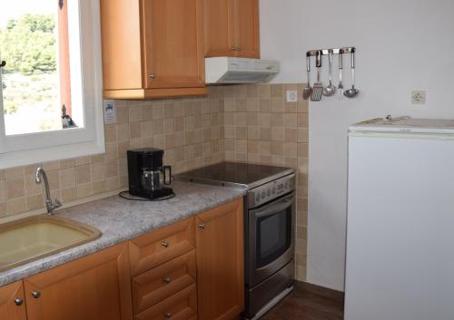 uma cozinha com um lavatório e um fogão forno superior em Dimitra's Apartment em Votsi