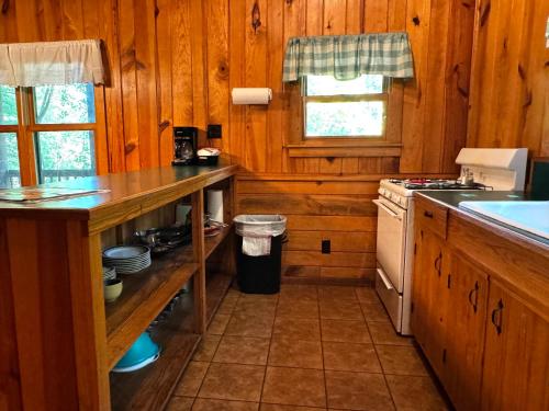 a kitchen with a counter and a stove top oven at E-HOT SPRINGS MYSTIQUE - Historic Five Points Lake Hamilton in Hot Springs