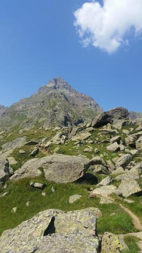 a mountain with rocks and grass and a blue sky at Ferienwohnung Familie Tost in Trins
