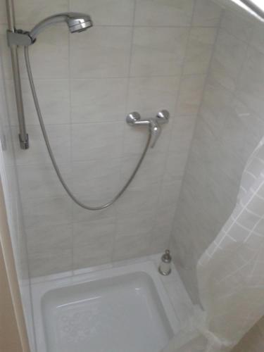 a shower in a bathroom with a toilet at Landhaus Bellecôte in Reit im Winkl