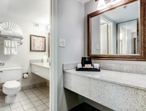 a bathroom with a sink and a toilet and a mirror at Ramada Plaza by Wyndham Atlanta Airport in Atlanta