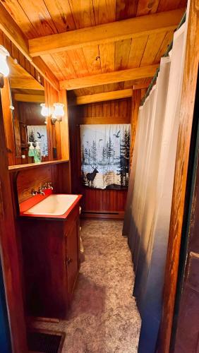 a bathroom with a sink and a shower at 4-OH, DEER! - Historic Five Points Lake Hamilton in Hot Springs