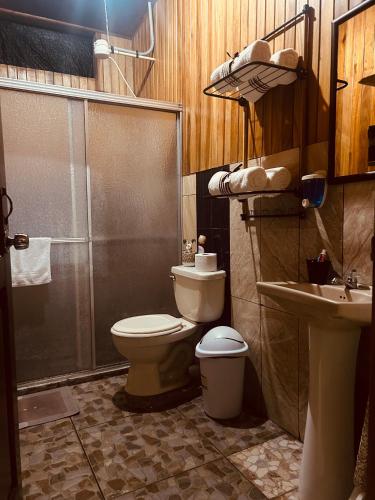 a bathroom with a toilet and a sink at Volcano Refuge House in Fortuna