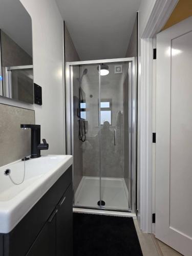 a bathroom with a shower and a white sink at Luaz - View Lodge in Dublin