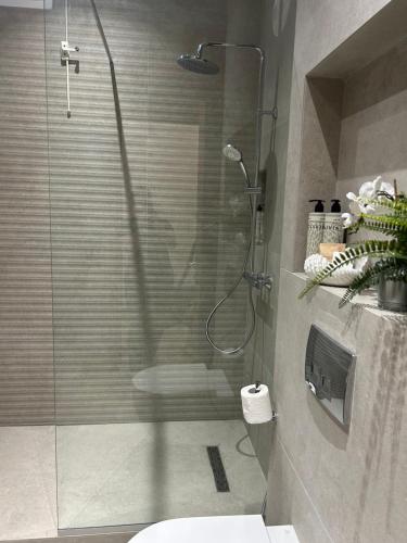 a bathroom with a shower and a toilet in it at Villa Melita Seafront in Pefki