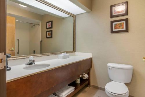 a bathroom with a sink and a toilet and a mirror at Comfort Inn Charlotte in Charlotte