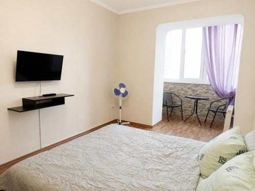 a bedroom with a bed and a tv on a wall at Apartment Ekaterina in Chornomorsk