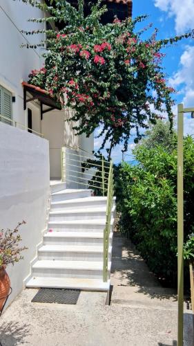 eine Treppe, die zu einem Gebäude mit rosa Blumen hinaufführt in der Unterkunft Aeria View in Éva