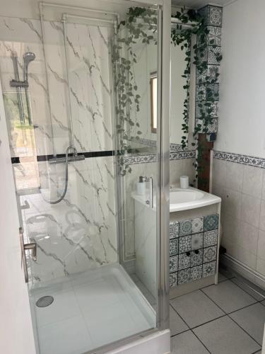 a bathroom with a shower and a sink at Le petit coin du pêcheur in Brouchaud