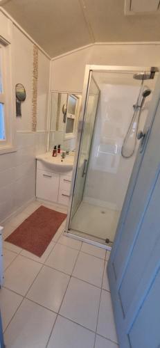 a bathroom with a shower and a sink at The waterfront retreat in Lock Sport
