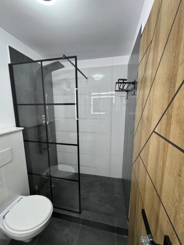 a bathroom with a toilet and a glass shower at Casa Urbano Mall- Floresti in Floreşti