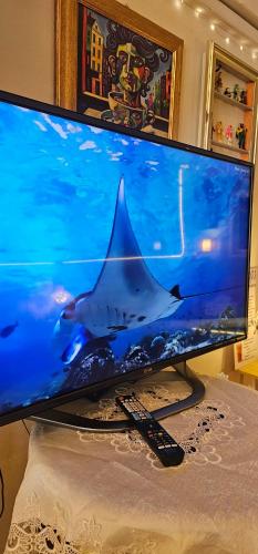 a computer monitor with a shark on the screen at Papa house red room in Pak Kret